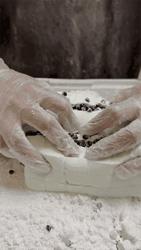 Mint Chocolate Chip Marshmallows