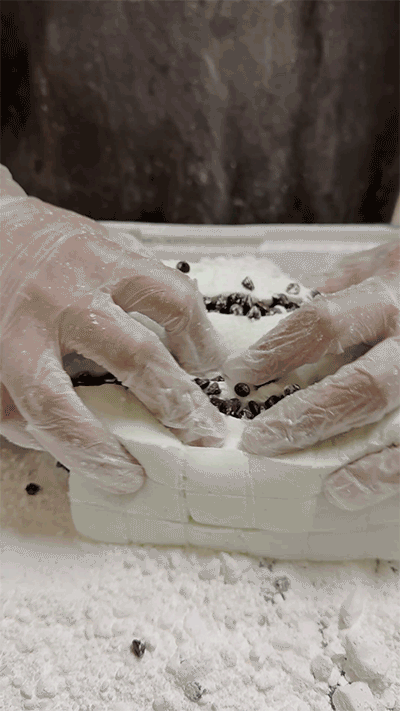 Mint Chocolate Chip Marshmallows