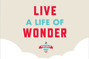 Live a Life of Wonder