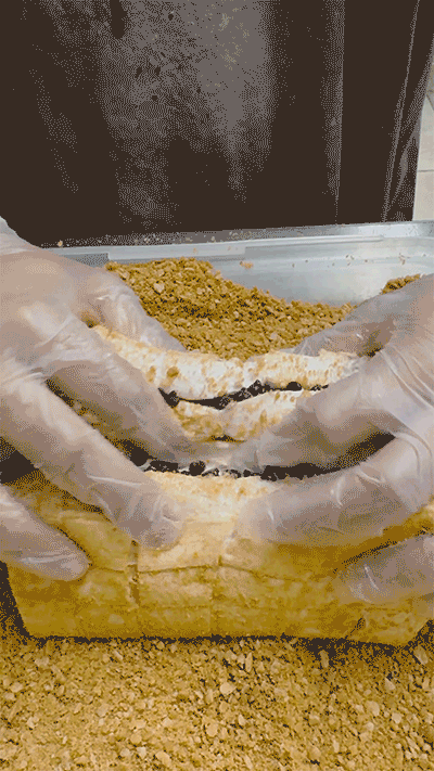 New Jersey Cannoli Marshmallows