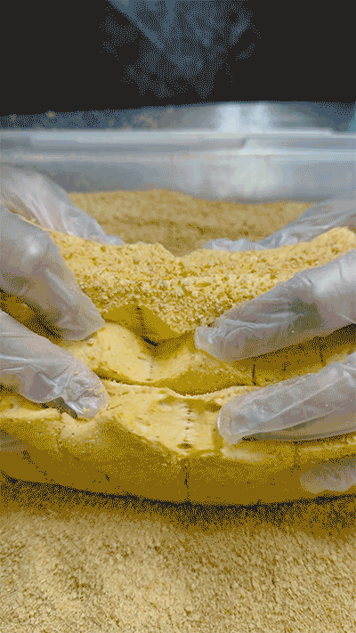 Illinois Pumpkin Pie Marshmallows