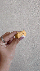 Illinois Pumpkin Pie Marshmallows
