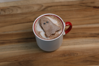 Boo Bros Chocolate marshmallow in mug with hot cocoa